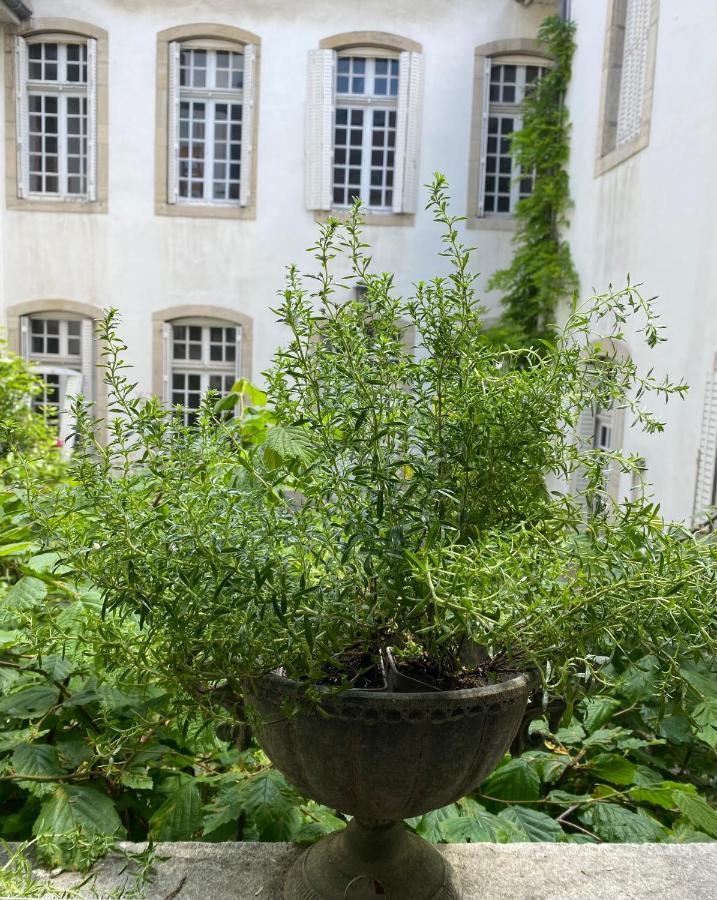 L'Appartement By Merveilles De Marie Lons-le-Saunier Exterior foto
